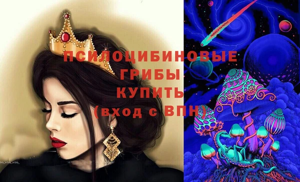 apvp Абаза