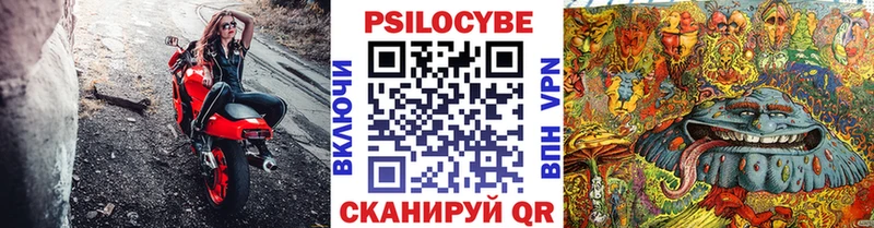 Галлюциногенные грибы мухоморы  Котлас 