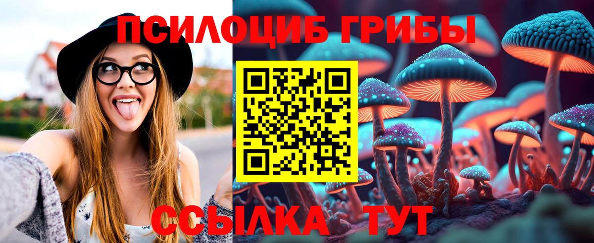 Котлас  Псилоцибиновые грибы ЛСД  Вход с VPN 
