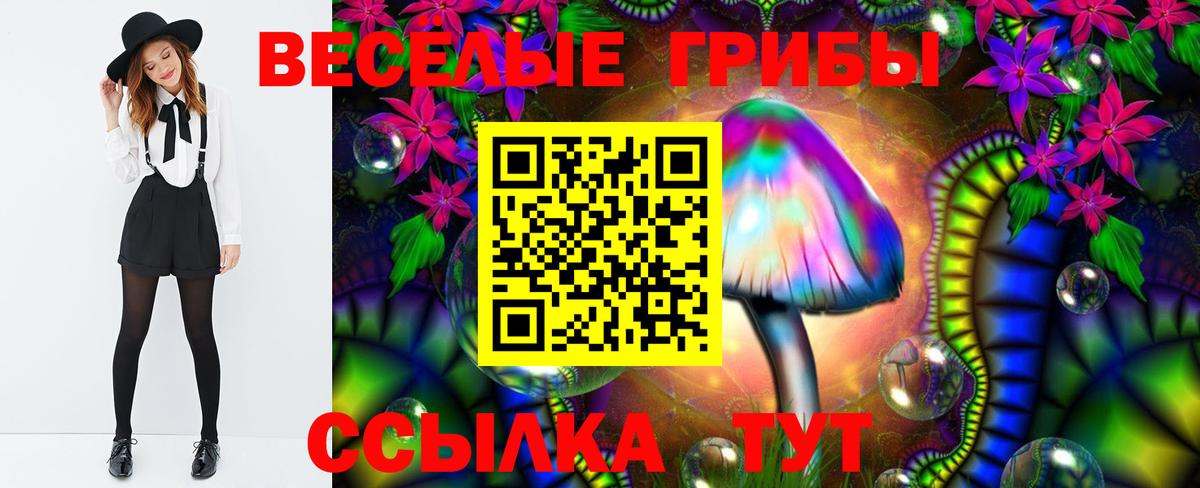 Псилоцибиновые грибы мухоморы Котлас
